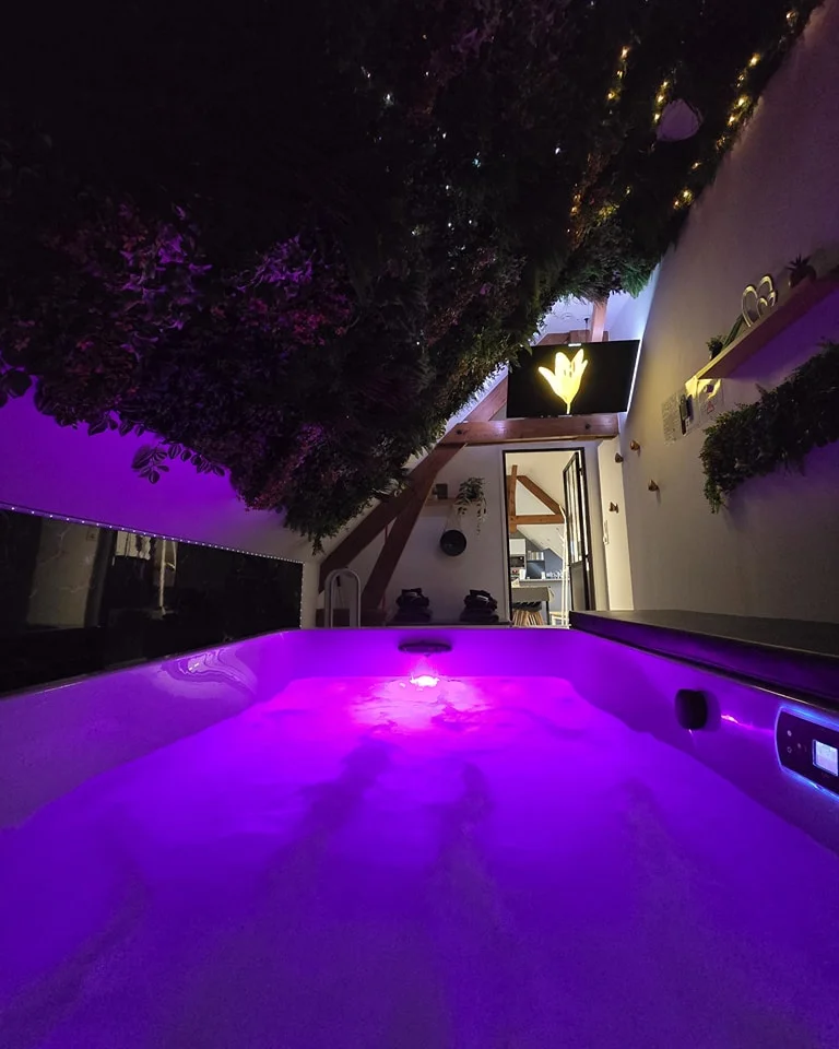 appartement spa premium